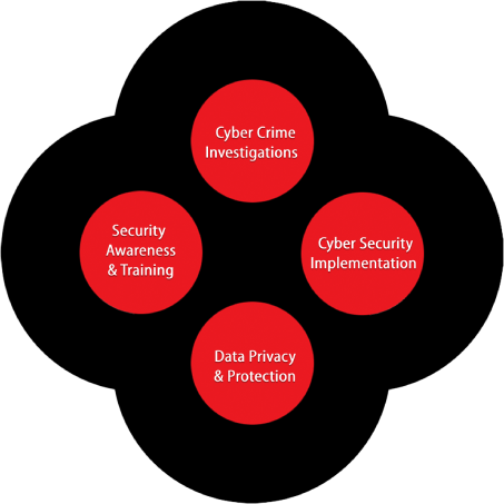 About V4WEB Cybersecurity
